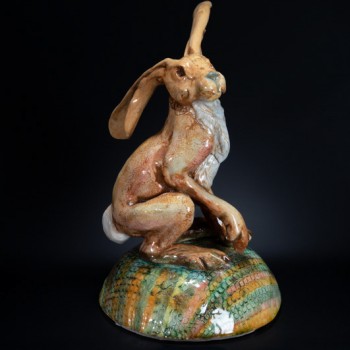 Brown Hare 04
