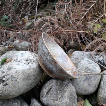 20251031 120747 copy