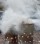 Photo of #156
