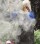Photo of #177