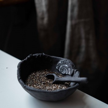 Ammonite chia bowl