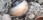 Banner Pic 1