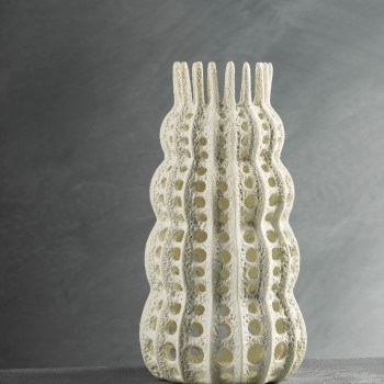 C Holtet Radiolaria I