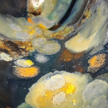 Glaze close up