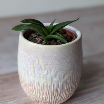 Pink planter
