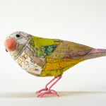 SB Bird
