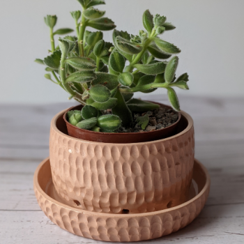 large planter