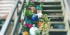 steps